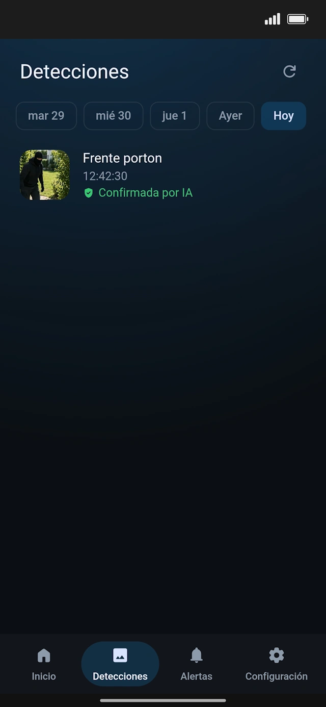Historial de detecciones organizado por día